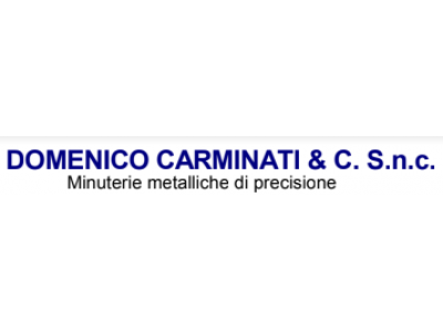 DOMENICO CARMINATI & C. SNC